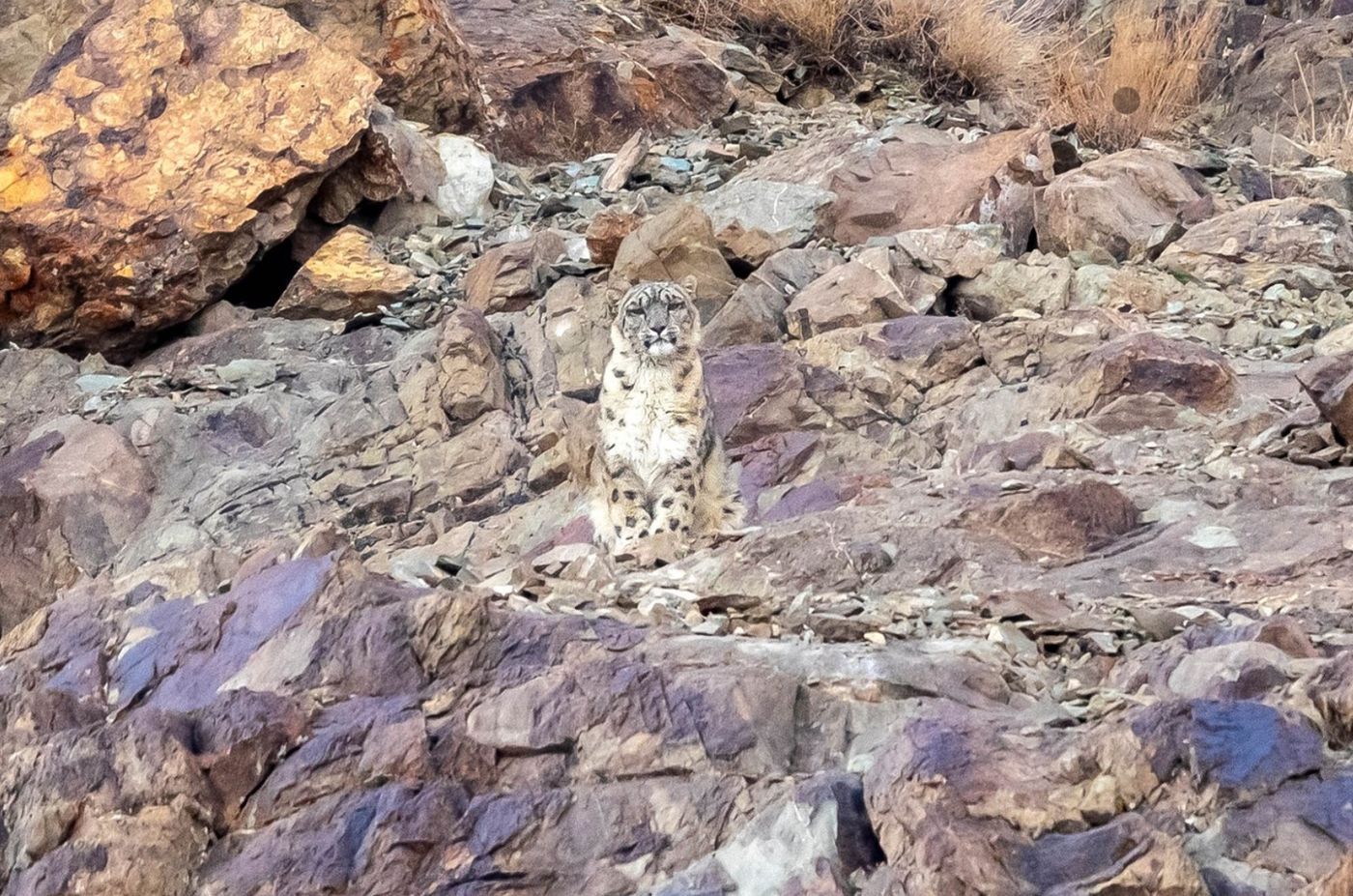 Hemis National Park