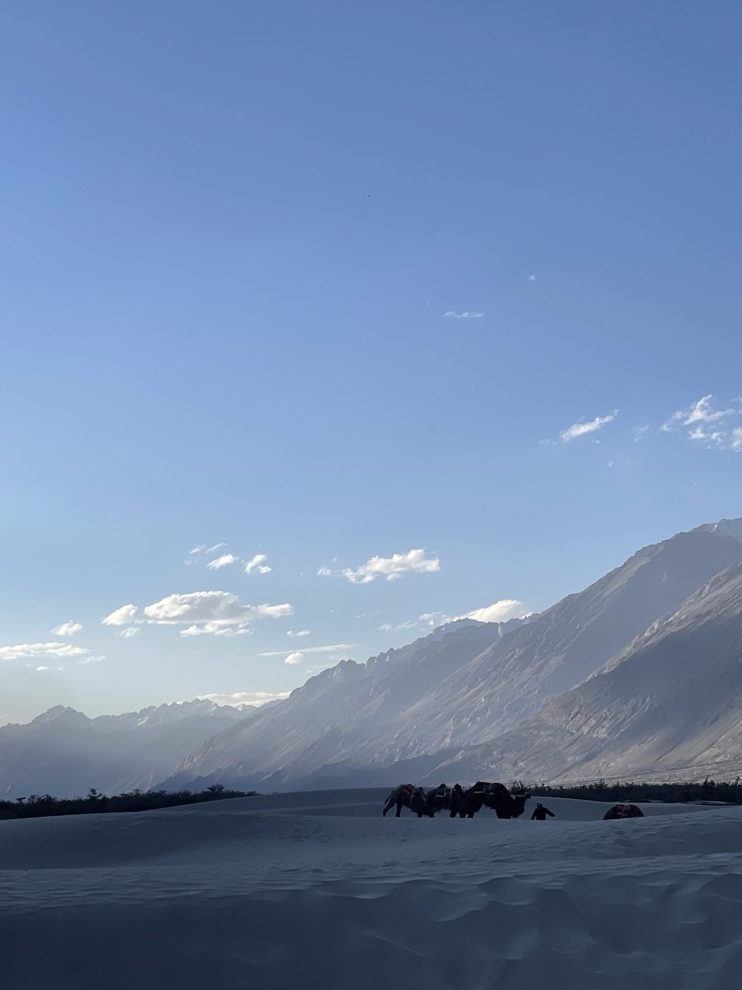 Nubra Valley
